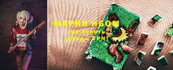 индика Иноземцево