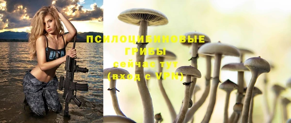 дурь Яранск